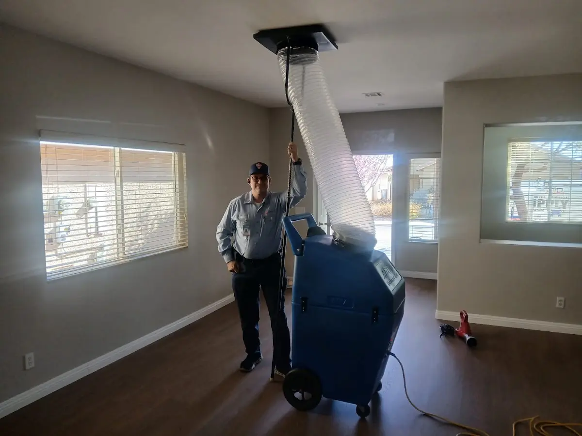 Professional Dryer Vent Cleaning work inside a Oak Point home